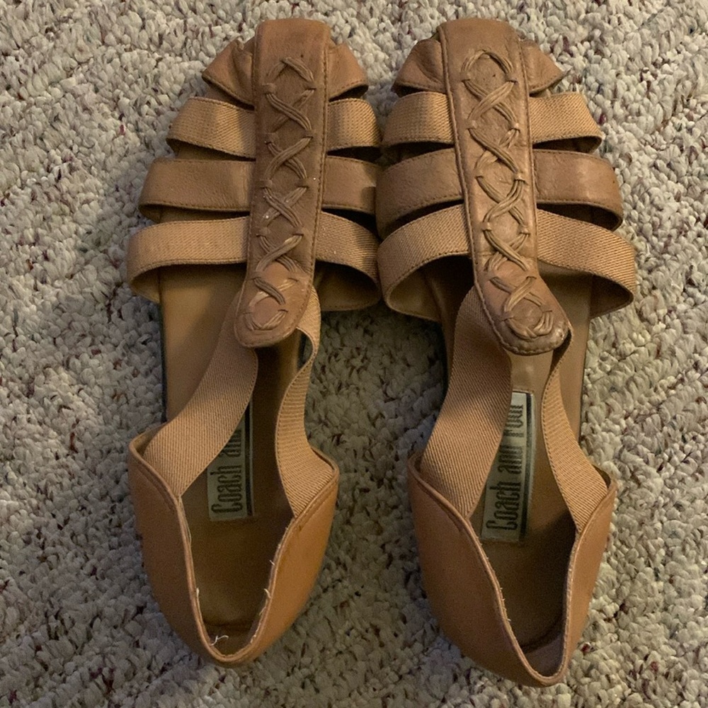 Coach and four shoes